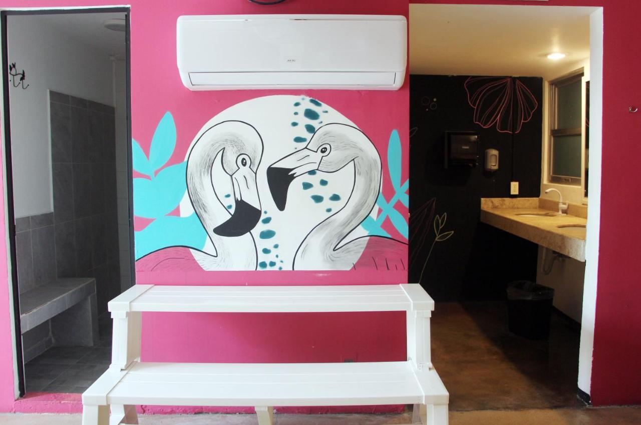 Hotel & Hostal Casa De Luz Cancún Zewnętrze zdjęcie